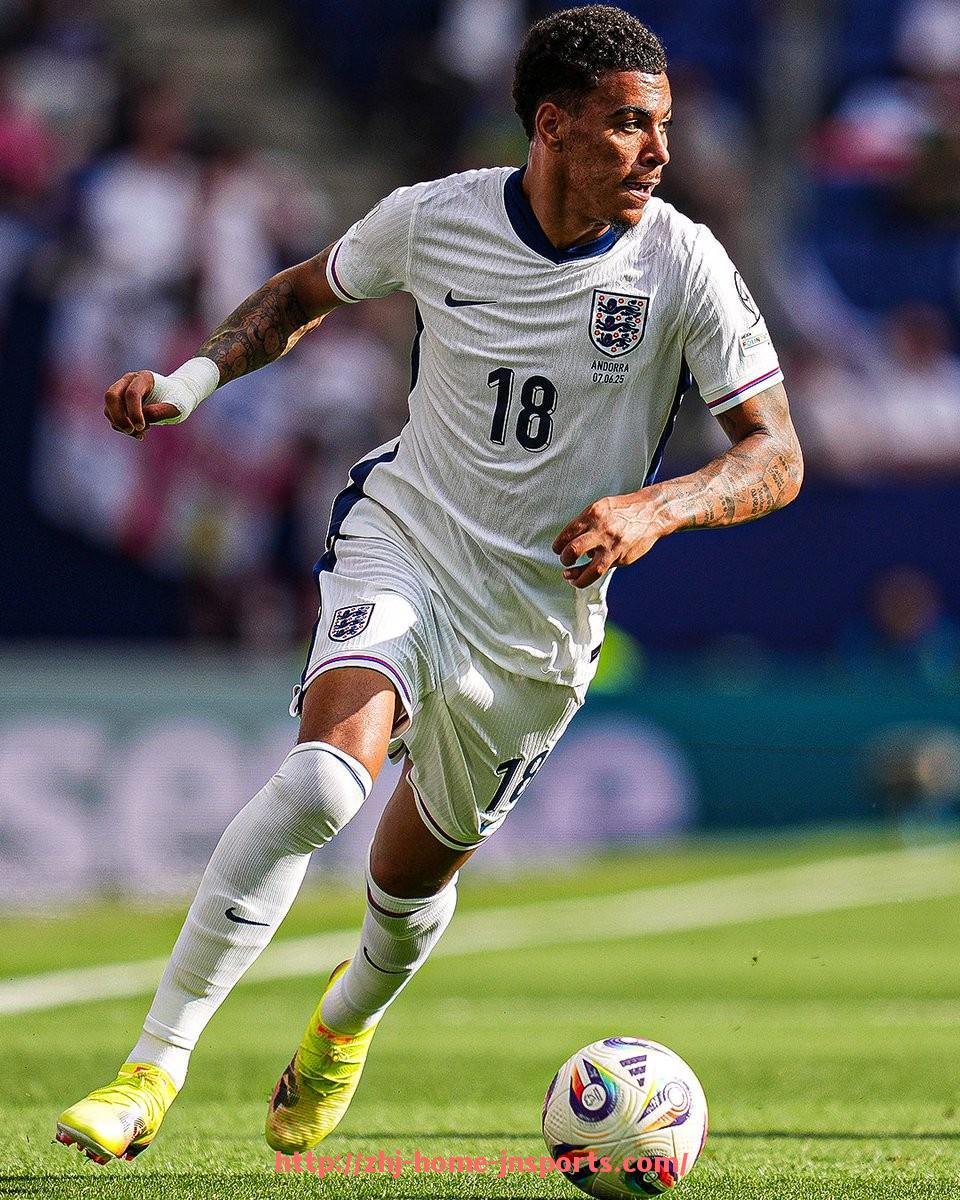 江南综合体育-法甲马赛俱乐部财政年度总结与经济状况