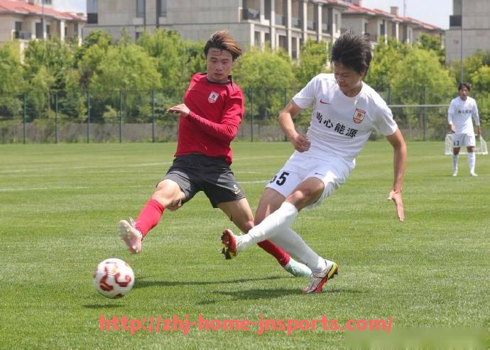 江南综合体育-法甲里昂面对保级球队时的对战成绩分析