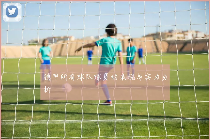 德甲所有球队球员的表现与实力分析