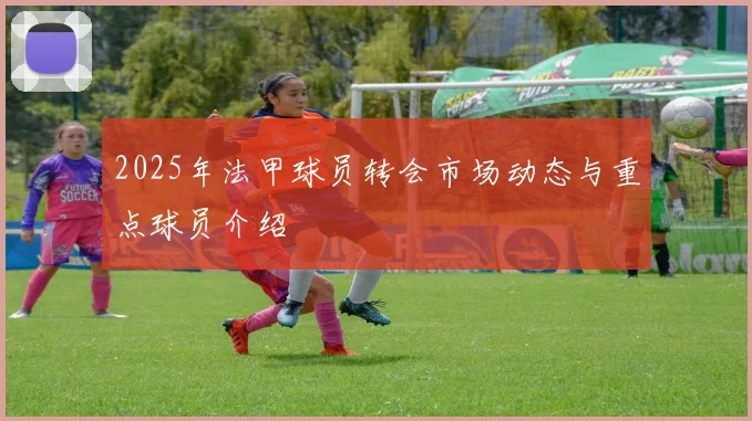 2025年法甲球员转会市场动态与重点球员介绍